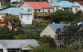 Foreign investors make up a small proportion of house buyers, so are not pushing up house prices - Housing Minister Nick Smith.