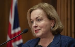 National leader Judith Collins during her press conference at Parliament.