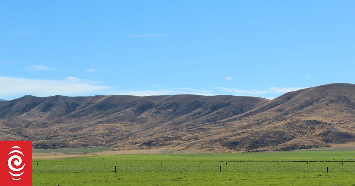 Federated Farmers Rejects Call For Mackenzie Land Sale Moratorium Rnz News 9272