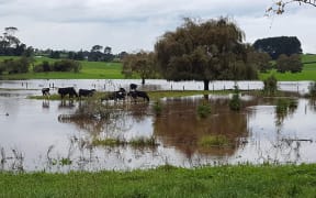 flooded farm