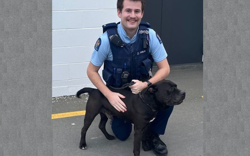 Buddy, pictured with Constable Jack Phillips, was recovered safely.