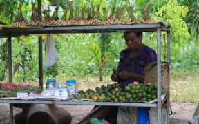 A woman in Papua New Guinea selling betel nut and accessories by the roadside.