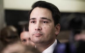 National Party leader Simon Bridges fields media questions before heading into the House.