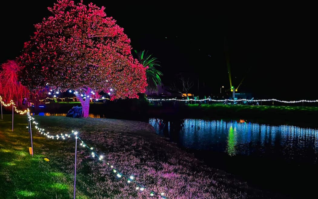 A light show at the Pāpāmoa stormwater reserve for Matariki.