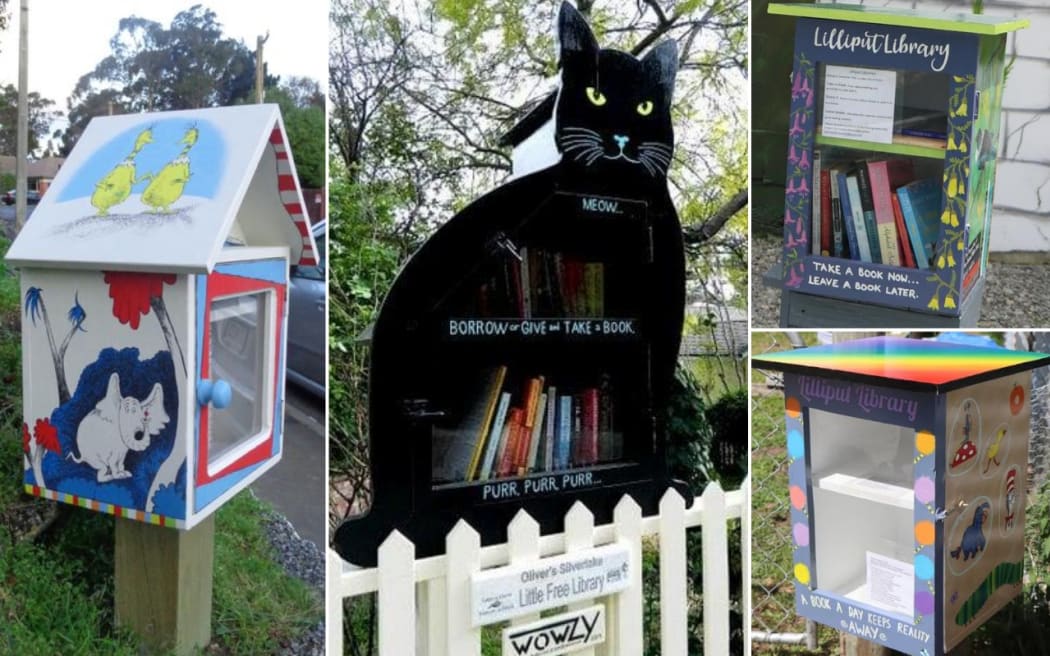 Lilliput Libraries spread nationwide thanks to Ruth Arnison.