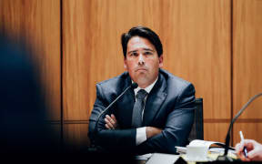 National Party justice spokesperson Simon Bridges at Parliament's police select committee.