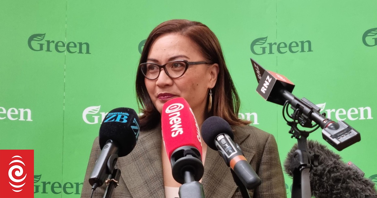 Greens assure cost-free dental for all, compensated for by ‘fair and simple’ tax modifications