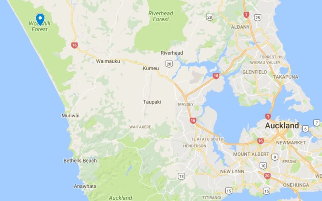 A body has been found in Woodhill Forest, near Muriwai.