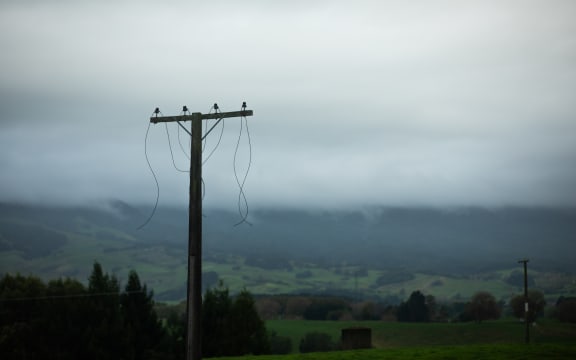 Cut off power lines just outside Otorohanga