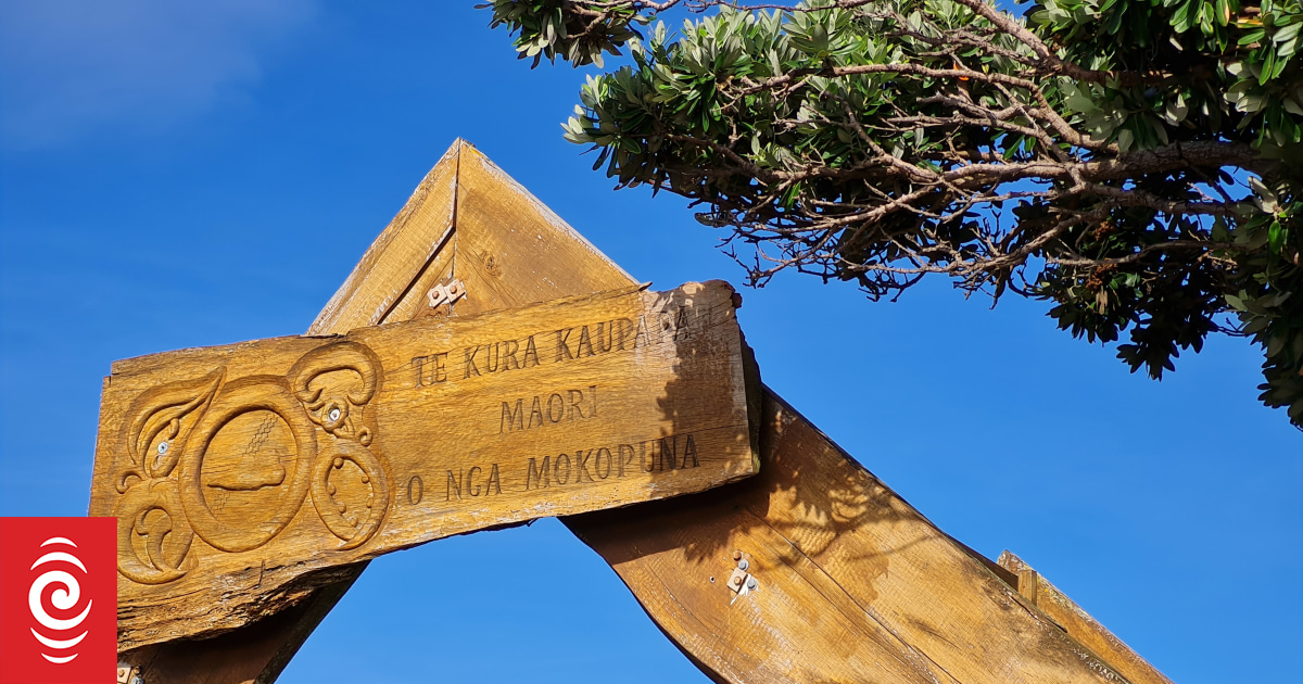 Waitangi Tribunal hearing underscores concern over kura kaupapa autonomy - Vimarsana News