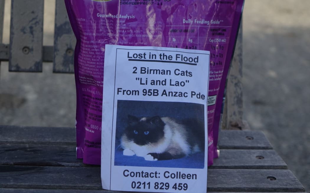 Cat food left for pets missing inside the Anzac Parade emergency cordon