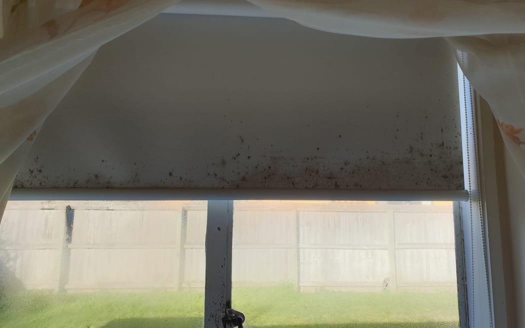 Mould seen on the curtain of Frank Poissonnier's home in at a Christchurch social housing complex.