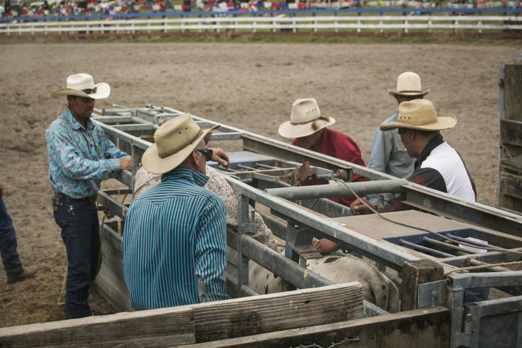 Insight: Rodeo - A Dusty Feud | RNZ