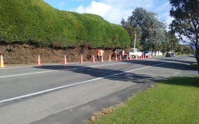 Kapiti Coast District Council has trimmed Vincent Osborne's hedge after he refused the council's order.