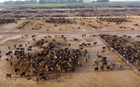 Environmentalist Geoff Reid described the conditions the animals were being kept in as mud farming.