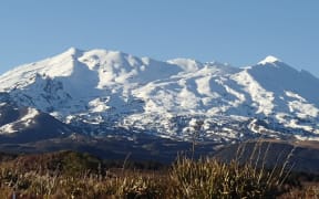 National Park is located near Mt Ruapehu in the central North Island (file photo).