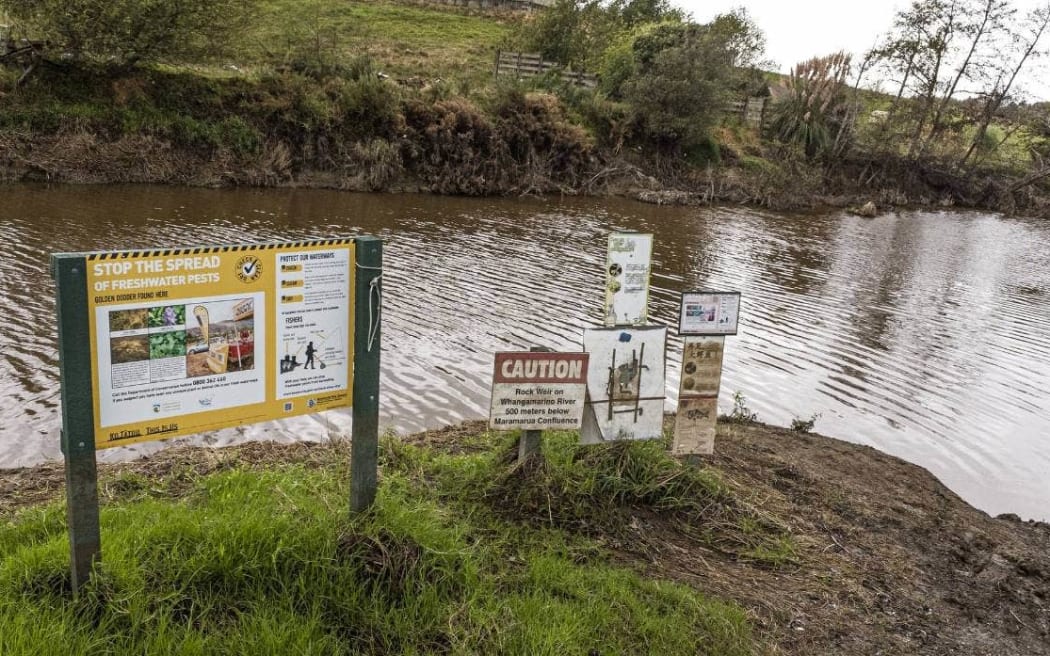 Signs warning of pollution and contamination at Whangamarino wetland