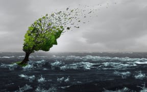 Surviving a storm concept as a battered stressed tree blown by violent winds in flood waters as an anxiety or abuse metaphor to withstand psychological or physical pain with 3D illustration elements.