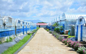 Greenhouses at the Grace Road Group farm in Navua, Fiji.