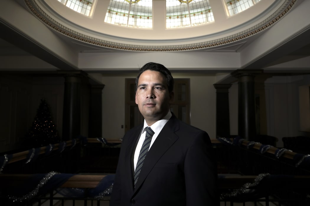 Simon Bridges stands in the atrium of the National Party offices.