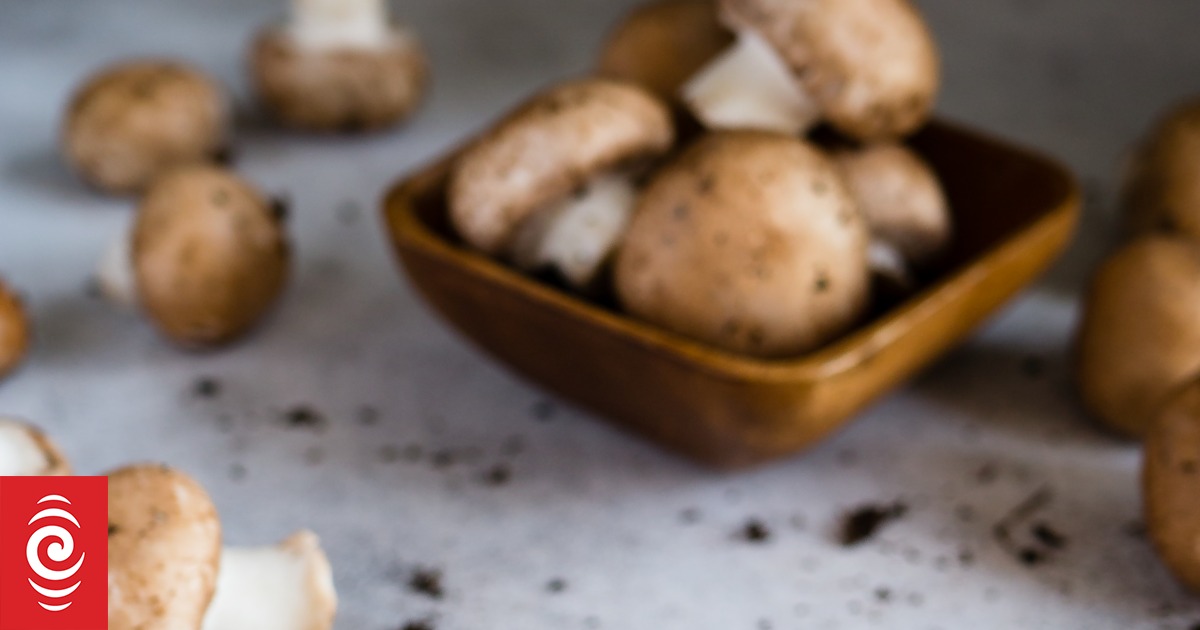 Mushrooms are having a moment (again) - Vimarsana News