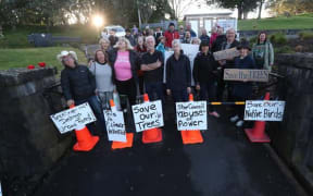 30 people have gathered to block the entrance to Mt Albert in an effort to save trees.