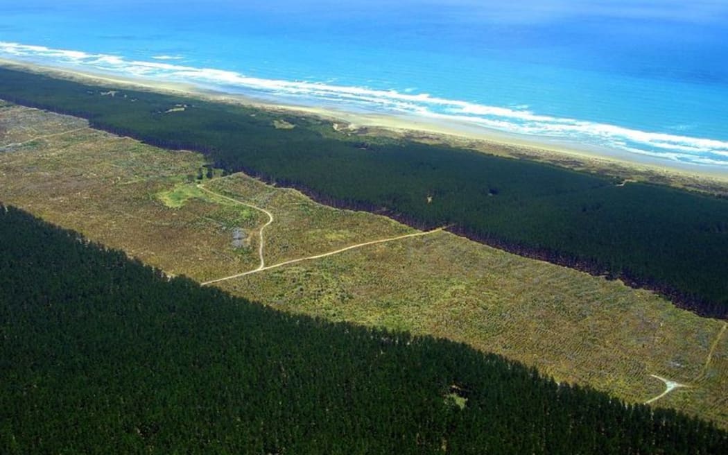 An aerial view of Aupouri Forest, alongside Ninety Mile Beach.