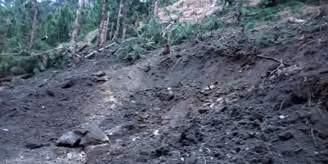 A view of damage caused to trees in hilly terrain after Indian air force dropped their payload in Balakot area, according to a Pakistan military spokesperson.