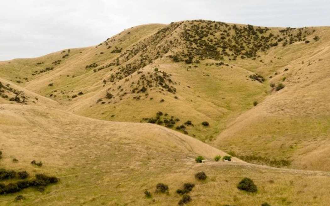 Dry hills in the South Island (file photo)