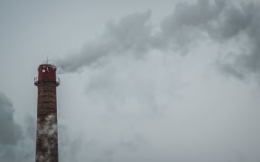 Carbon emissions have not yet peaked in many countries the report says.