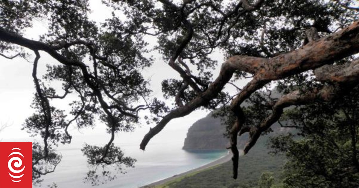 Iwi reject government's latest Kermadec sanctuary proposal - Vimarsana News