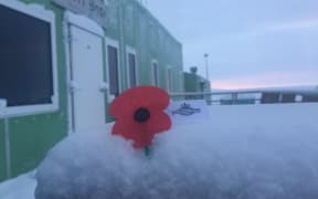 A poppy in the snow at Scott Base