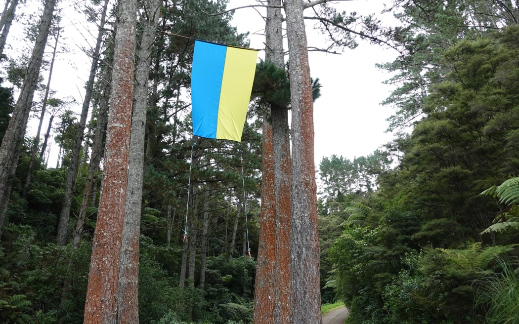 Ukraine flag hung up by Northland residents.