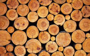 Wood logs.