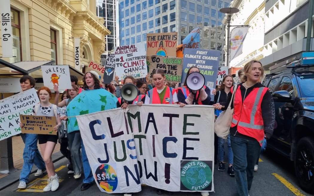 Climate protesters in Wellington today.