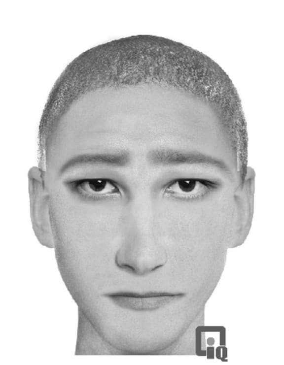The police sketch of the Aro Valley intruder