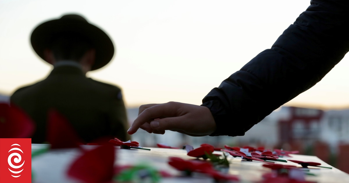 War neurosis Soldiers and families alike face mental health struggles study RNZ News