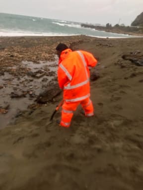 Crews cleaning up toxic sludge washed out from the old tip at Houghton Bay in Wellington.