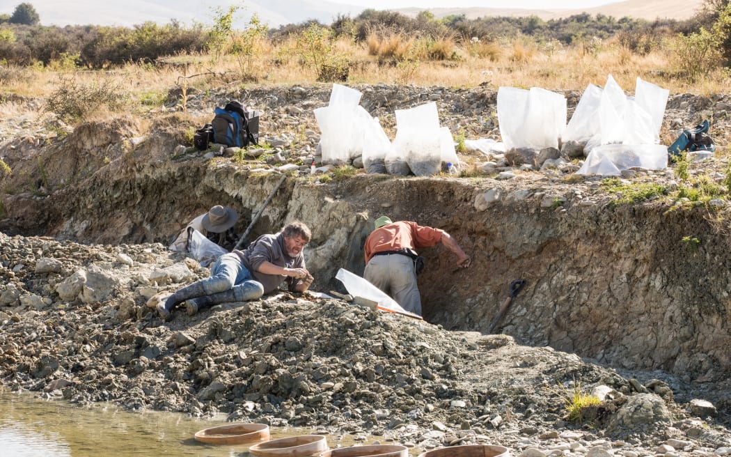 Paleontólogos trabajando en el sitio de excavación de St Bathans