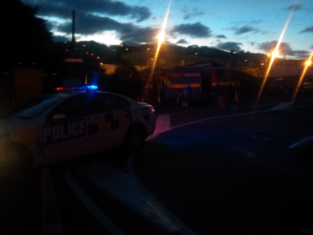 Emergency vehicles at the end of Burgess Road in Johnsonville, due to the gas leak.