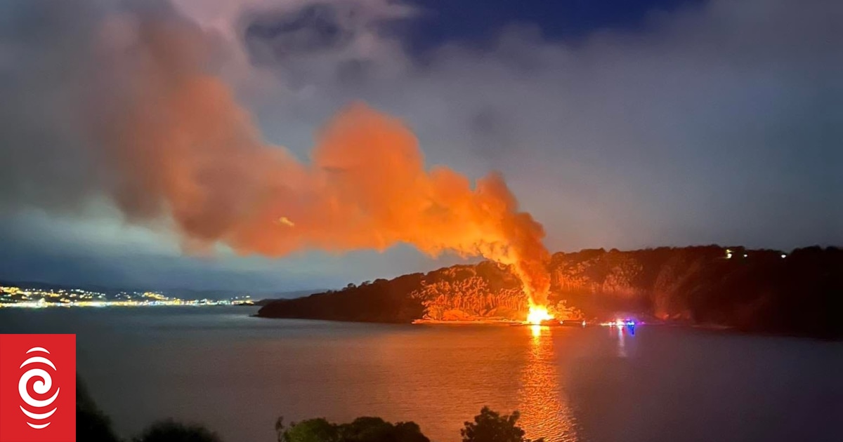 Shelly Bay blaze 'a shameful waste', says developer