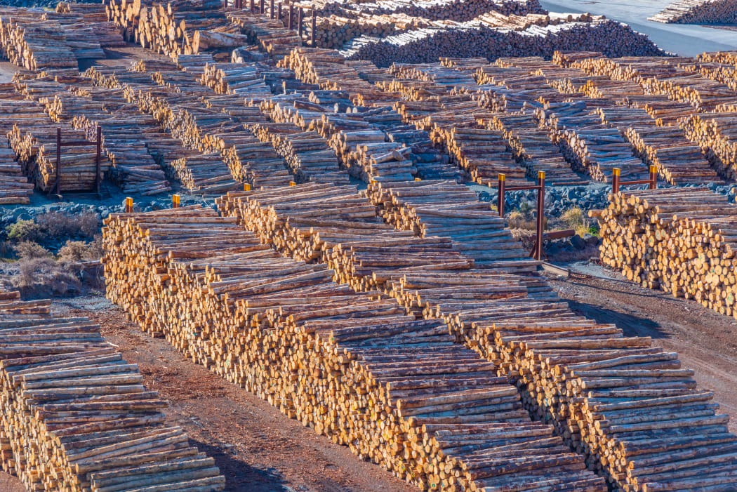 Wooden logs stored at port of Picton, New Zealand.