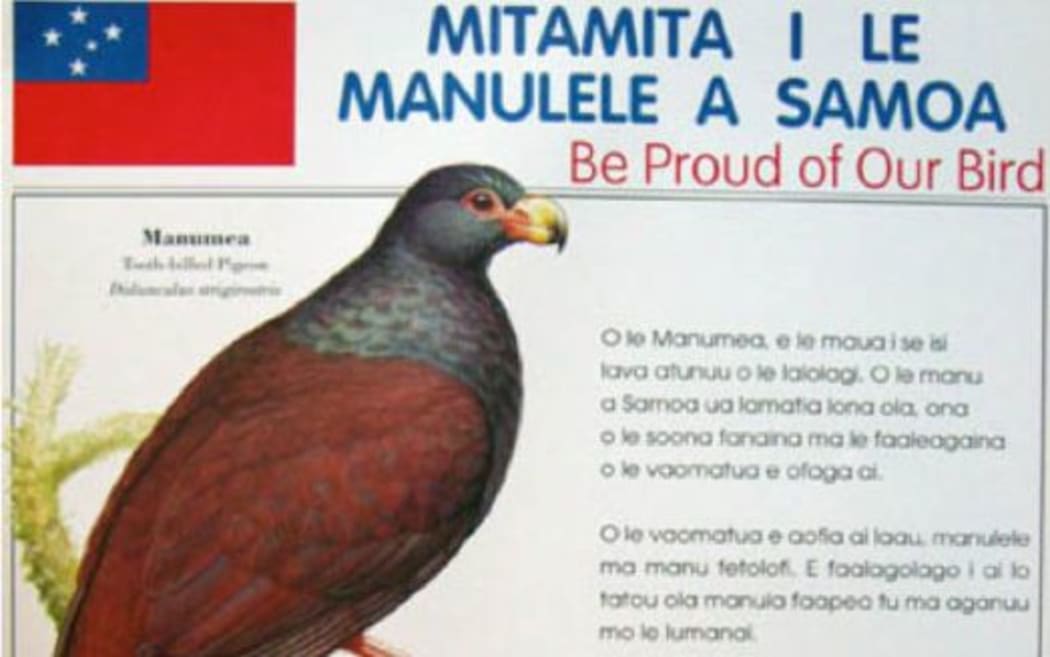 Samoa's national bird under threat | RNZ