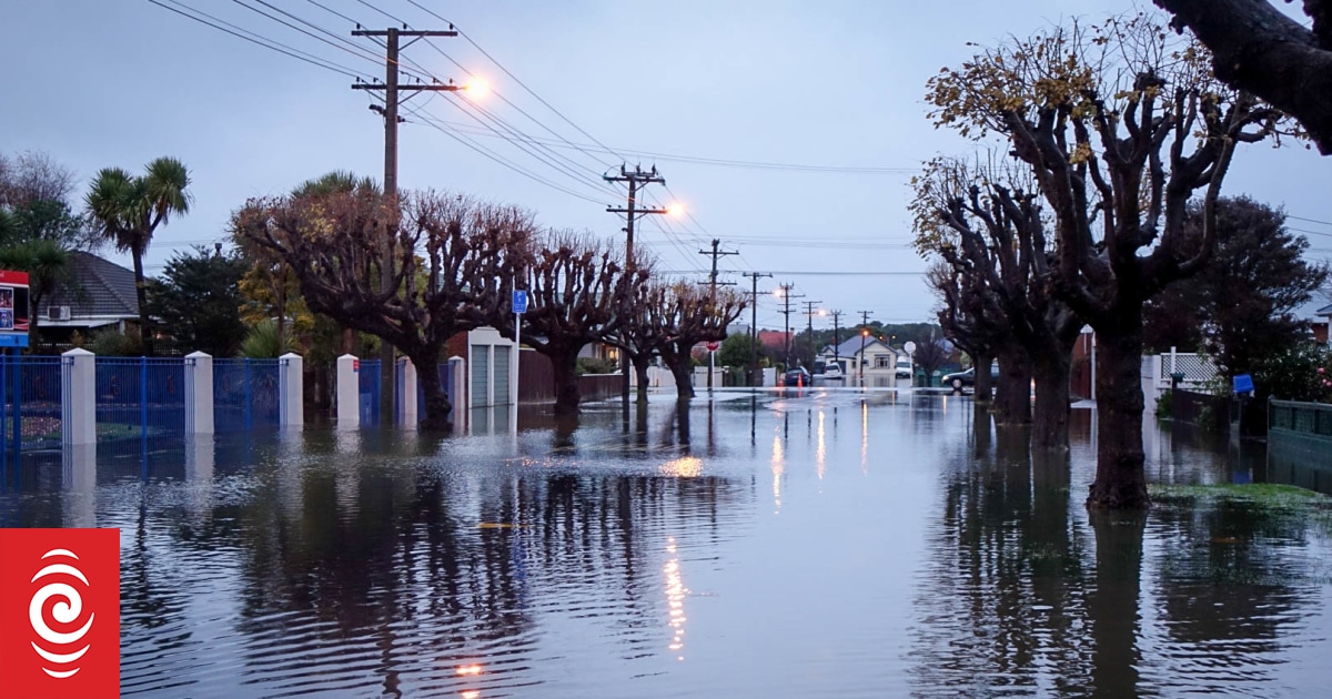 Dunedin flood-prone housing sparks solution vs acquisition debate - Vimarsana News