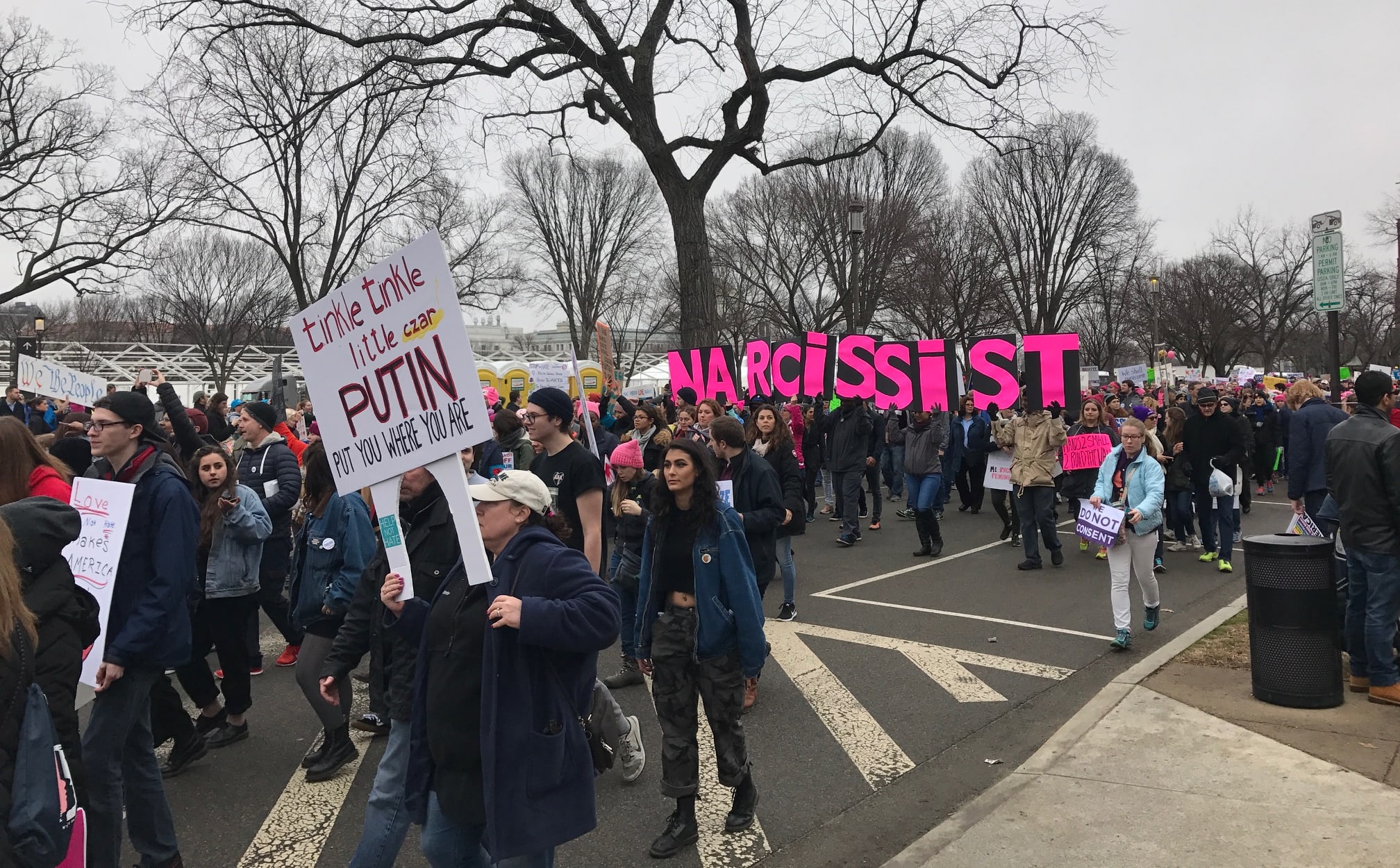 Marchers at the Washington DC event.