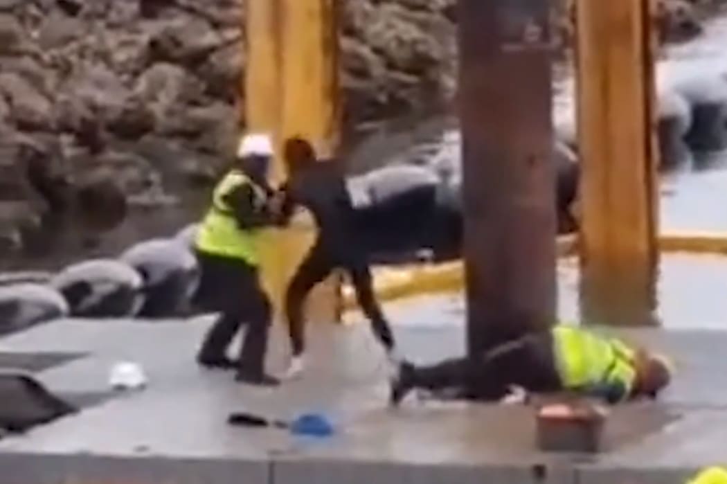 A video of an incident at the controversial marina development on Waiheke Island appears to show a protester being kicked in the face.