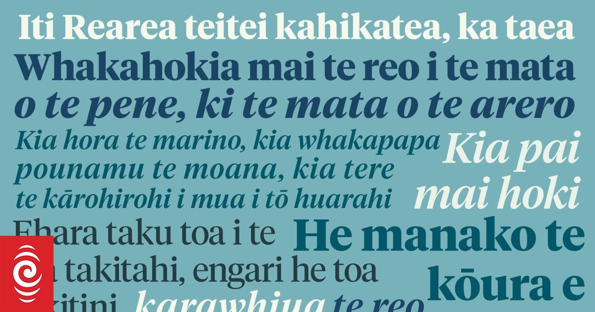 Mauri mahi, mauri ora: Where to start your te reo Māori journey | RNZ News