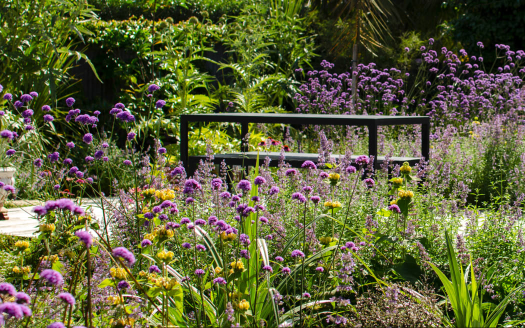 sunny garden