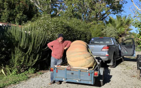 Scott Wilson and his 421kg pumpkin