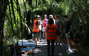 Auckland Council staff speak with walkers about Kauri dieback on Kitekite Falls trail.